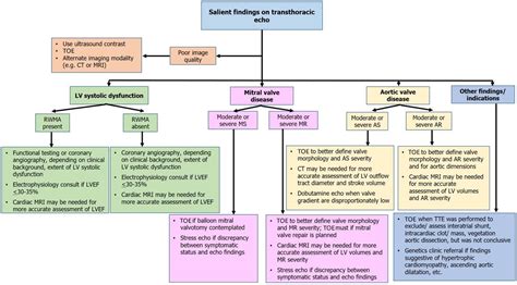 echocardiogram results interpretation|Understanding the echocardiogram .
